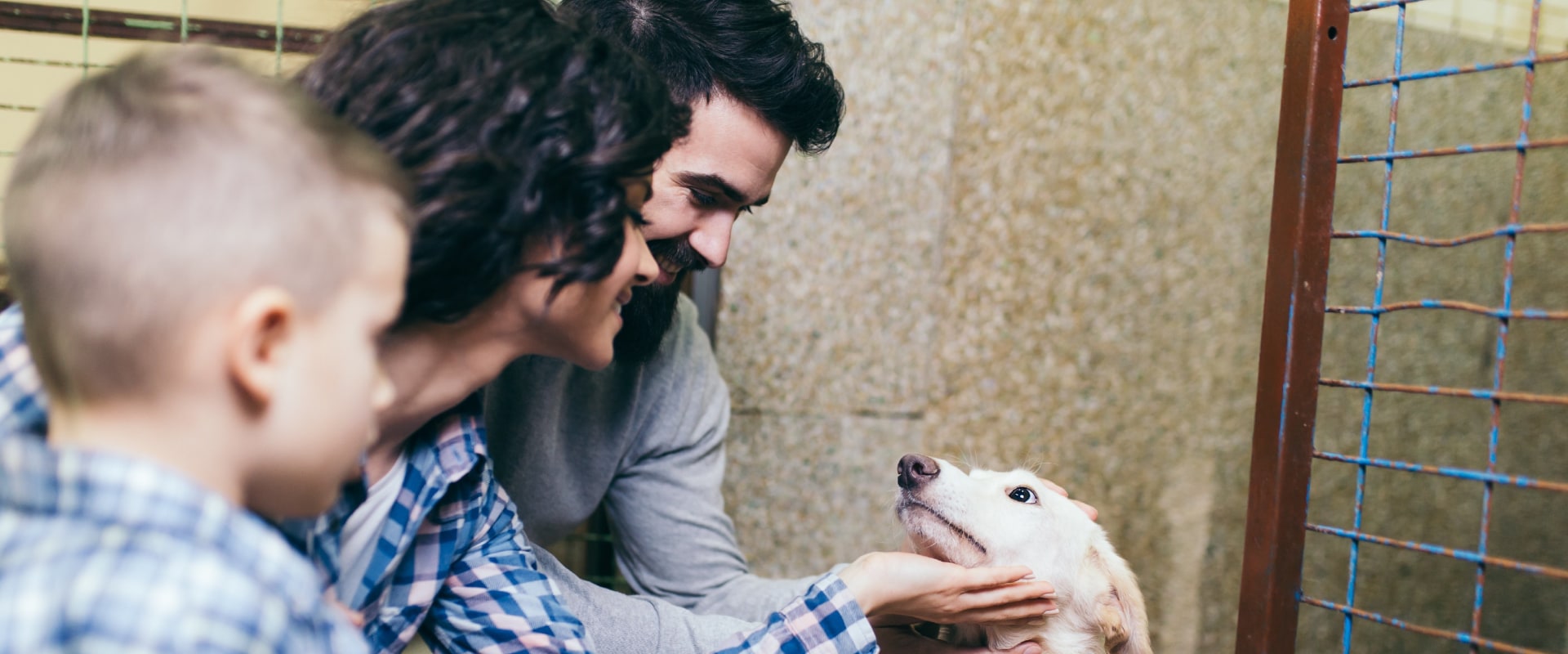 Exploring Animal Control and Welfare Policies in Fairfax County, VA