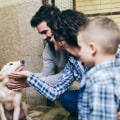 Exploring Animal Control and Welfare Policies in Fairfax County, VA